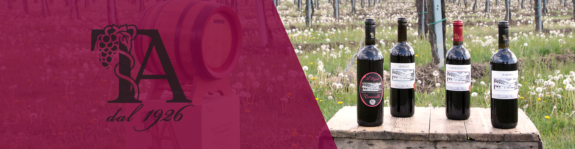Vini Rossi - Azienda Vitivinicola TA-WINE - Ponte di Piave (Cabernet Franc, Merlot, Raboso)